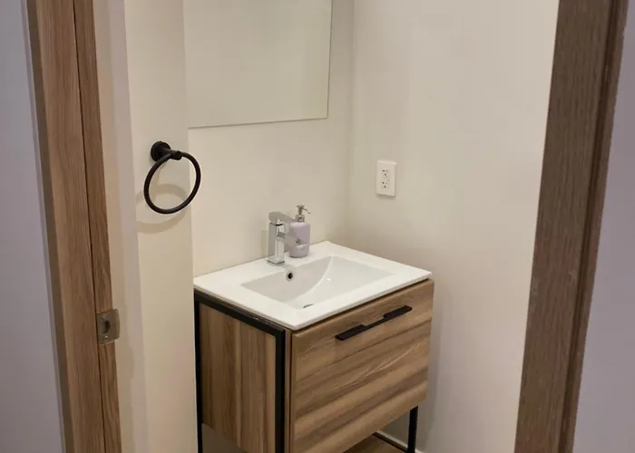 Departamento En La Roma Trendy Apartment *