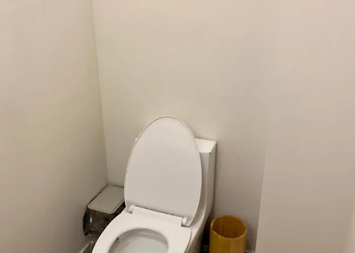 Departamento En La Roma Trendy Apartment Mexico City